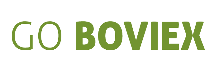 Boviex